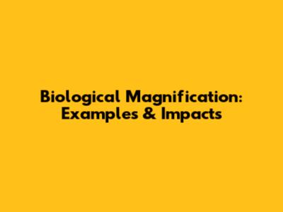 Biological Magnification: Examples & Impacts