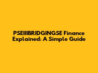 PSEIIIBRIDGINGSE Finance Explained: A Simple Guide